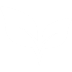 Eco Leaf Icon